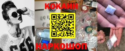 спайс Кингисепп