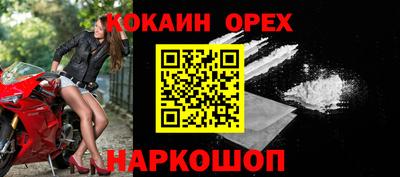 спайс Кингисепп