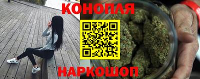 спайс Кингисепп