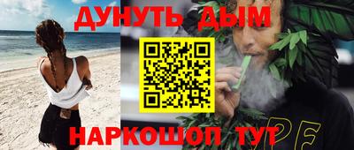 спайс Кингисепп