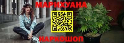 спайс Кингисепп