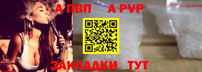 спайс Кингисепп