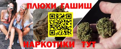 спайс Кингисепп