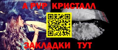 спайс Кингисепп