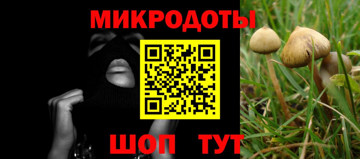 Крымск  наркотики  Вход с VPN  Псилоцибиновые грибы GOLDEN TEACHER 